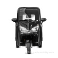 Black Full Closed Cabin Scooter YBZL1 Hot Selling Black Three Wheel Electric Car Factory